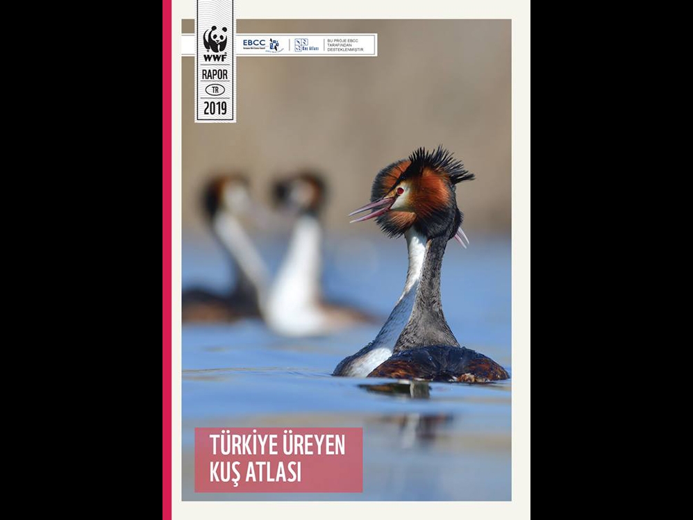 turkiye-ureyen-kus-atlasi-raporu-yayinda