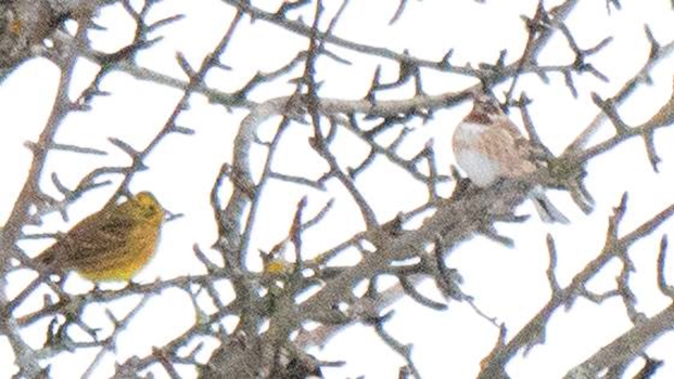 gerede\den-nadir-tur-kaydi-ak-basli-cinte