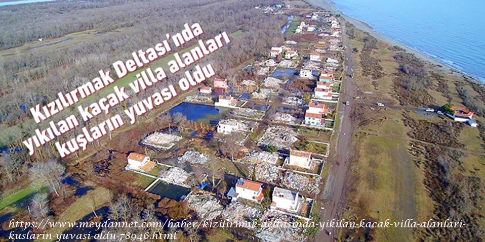 kizilirmak-deltasi\nda-yikilan-kacak-villa-alanlari-kuslarin-yuvasi-oldu