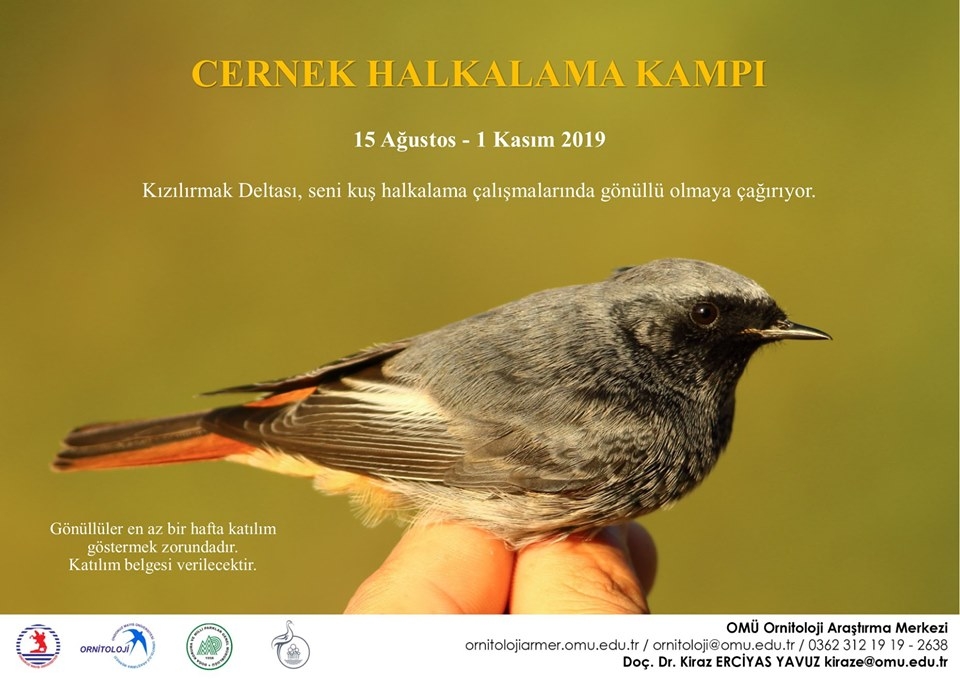 cernek-halkalama-kampi