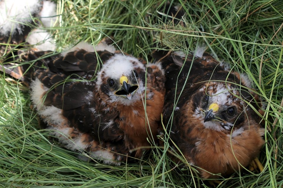 tarla-sahibinden-duyarli-davranis-