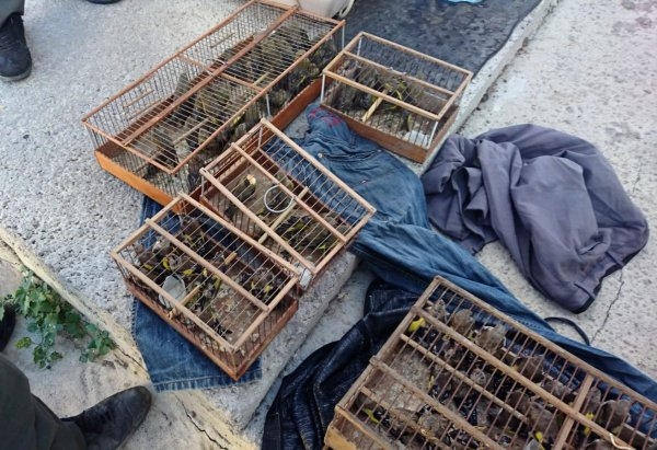 132-bin-liralik-kus-avi-cezasi