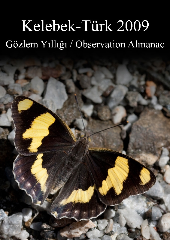 kelebek-gozlemcileri-ve-kelebekle-ilgilenen-herkes-icin-2009-yilligi