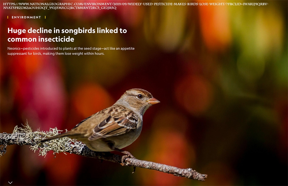 kus-sayilarindaki-buyuk-azalma-yaygin-kullanilan-bocek-oldurucuyle-iliskili-olabilir