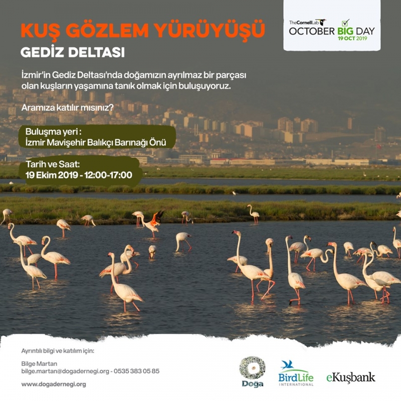 gediz-deltasi-kus-gozlem-yuruyusu-