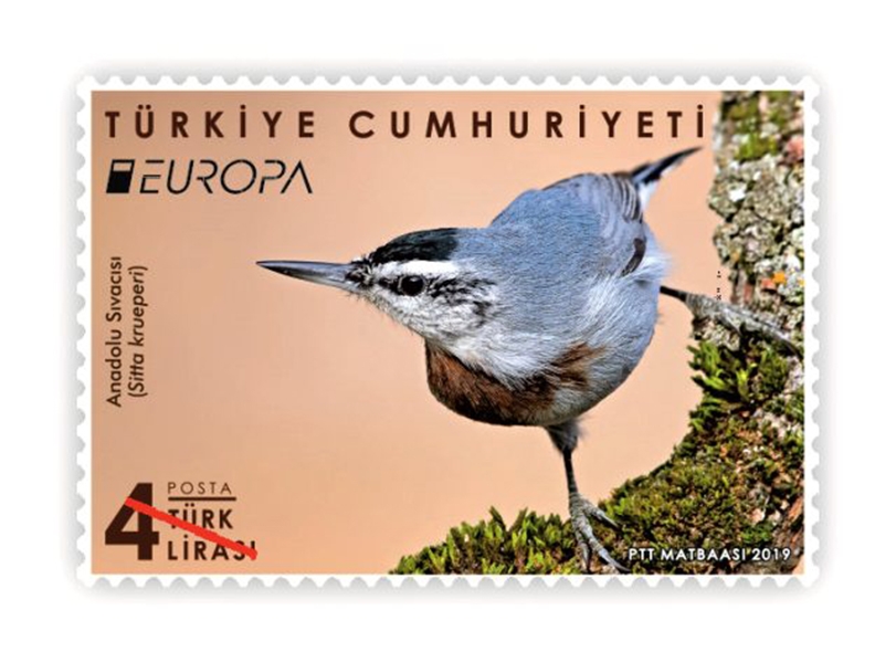 anadolu-sivacisi-ptt\ye-odul-getirdi