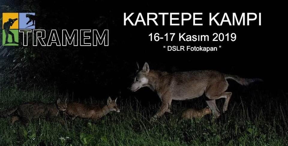 tramem-2019-kartepe-kampi