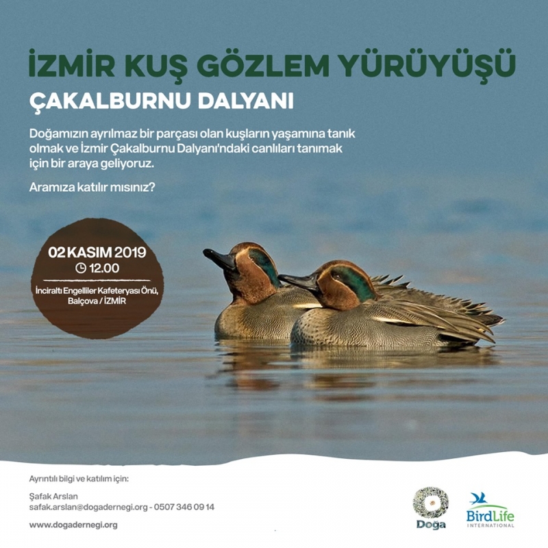 izmir-kus-gozlem-yuruyusu-