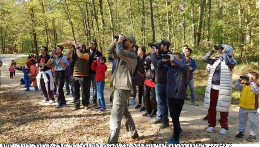 kus-gozlemcileri-ormanya\da-bulustu