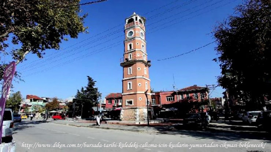 bursada-tarihi-kuledeki-calisma-icin-kuslarin-yumurtadan-cikmasi-beklenecek