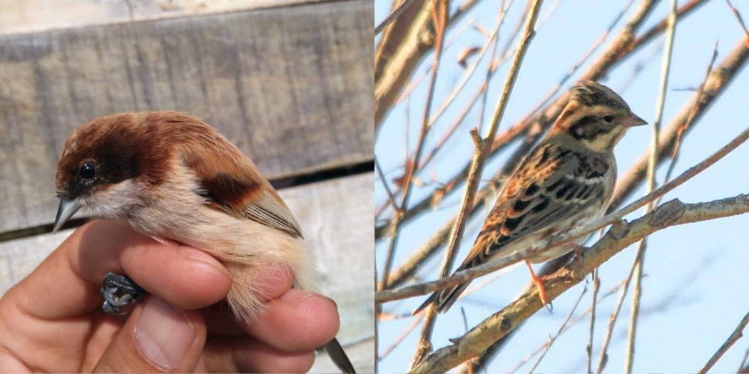 igdir\dan-onemli-kayitlar