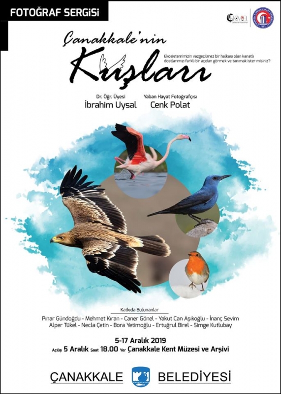 canakkale\nin-kuslari-fotograf-sergisi