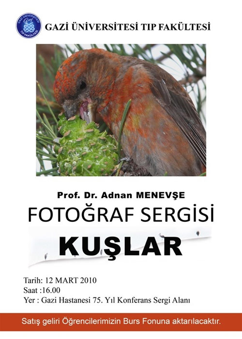 fotograf-sergisi-kuslar