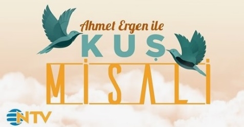 kus-misali-