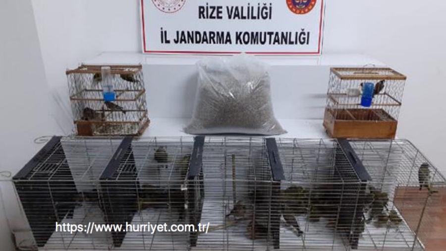 nesli-tukenen-61-kusu-avladi-47-bin-tl-ceza-uygulandi