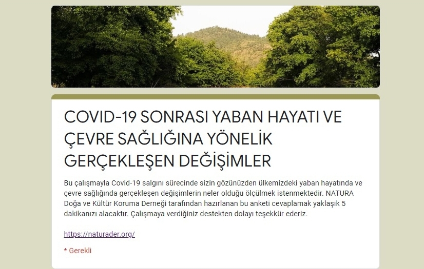 covid-19-sonrasi-yaban-hayat