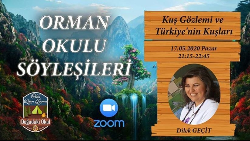 orman-okulu-soylesileri