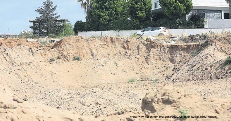 antalyada-ari-kuslari-hirsiz-kurbani-