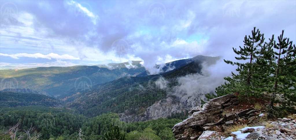 kazdaglari\nin-kus-envanterine-5-yeni-tur-eklendi