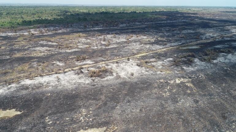 kizilirmak-deltasi\ndaki-yangin-unesco-surecini-etkilemeyecek