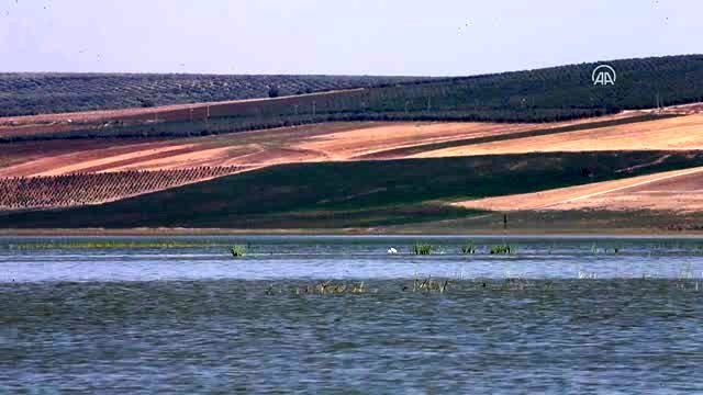 reyhanli-barajinda-kus-turu-sayisi-129a-yukseldi