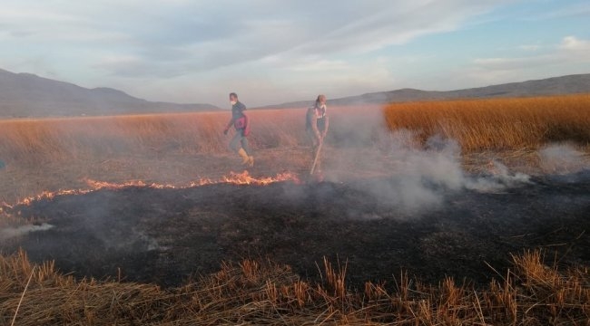bitlis\in-adilcevaz-ilcesinde-kus-cenneti-olarak-bilinen-cil-golu\nde-yangin---
