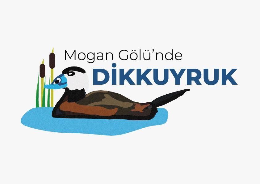 mogan-golu\nde-dikkuyruk