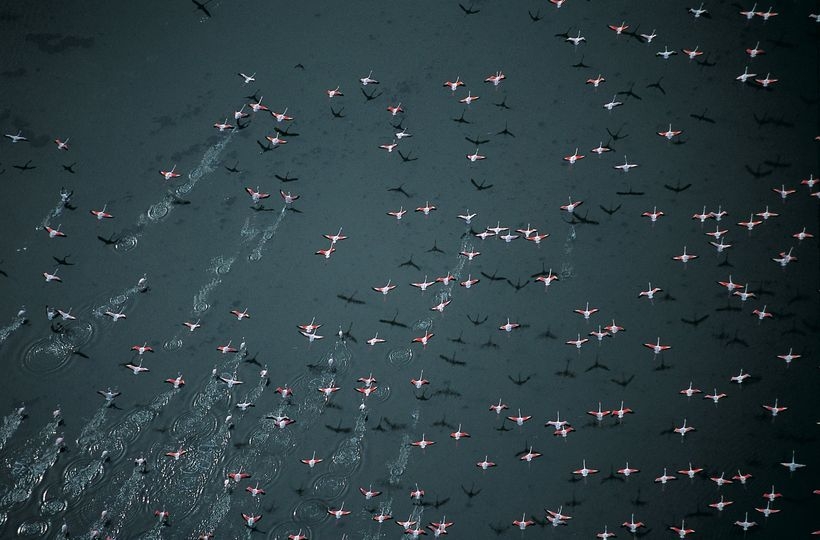 doga-dernegi-guney-gediz-deltasi-ureyen-kus-atlasi-calismasi-yayinda!