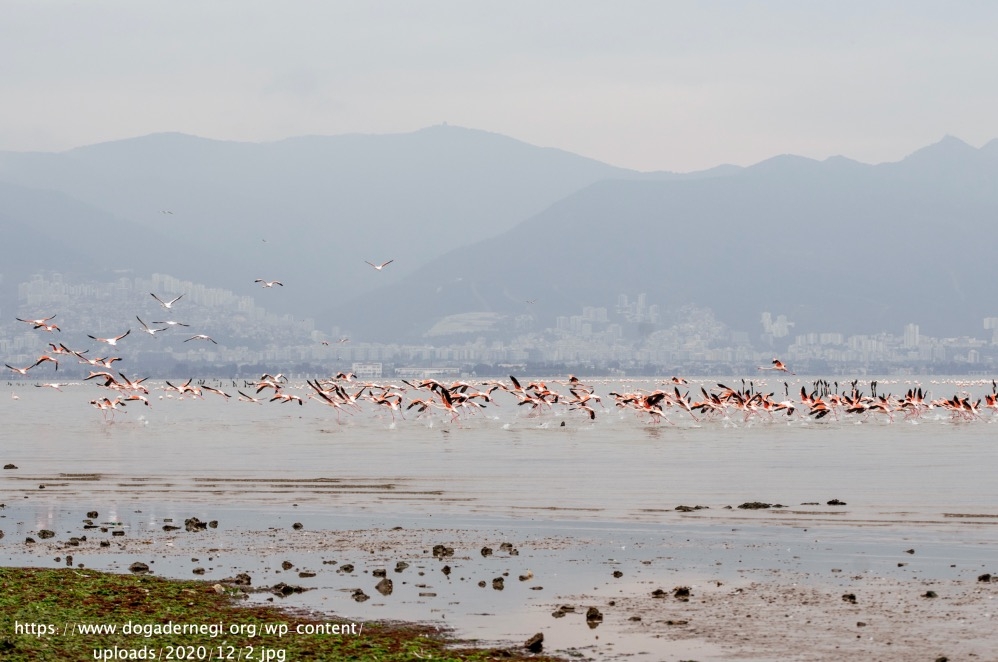 izmirin-unesco-adayi-gediz-deltasi-icin-birliktelik