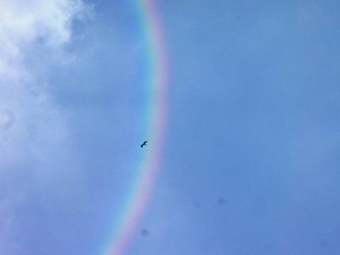 100-bininci-kusa-dogru-adim-adim