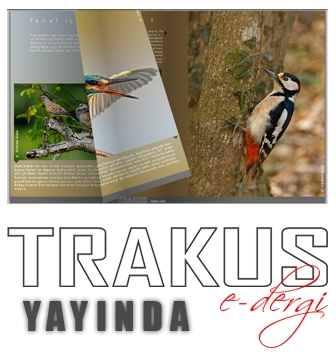 trakus-e-dergi-yayinda