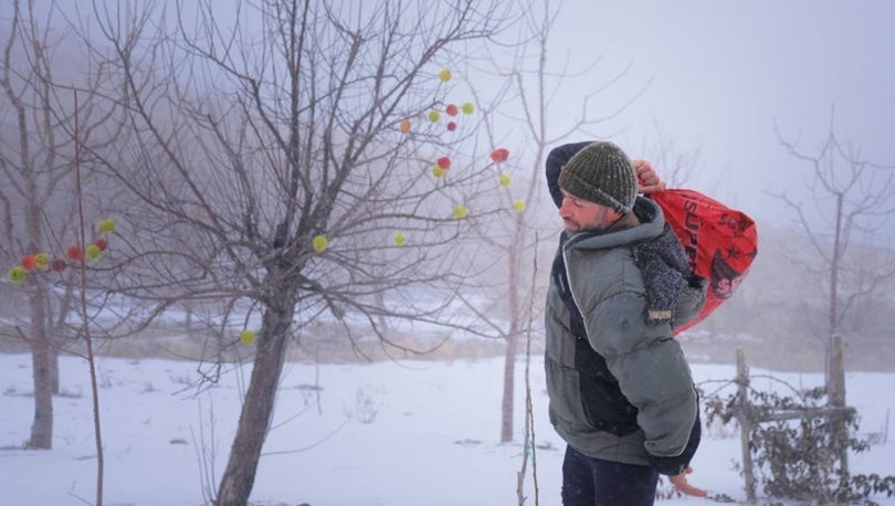 agaclara-elma-asiyor!
