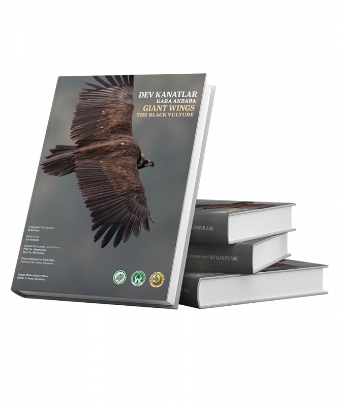 dev-kanatlar--kara-akbaba-kitabi