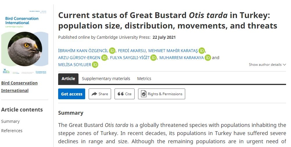 ulkemizdeki-toylarin-durumu
