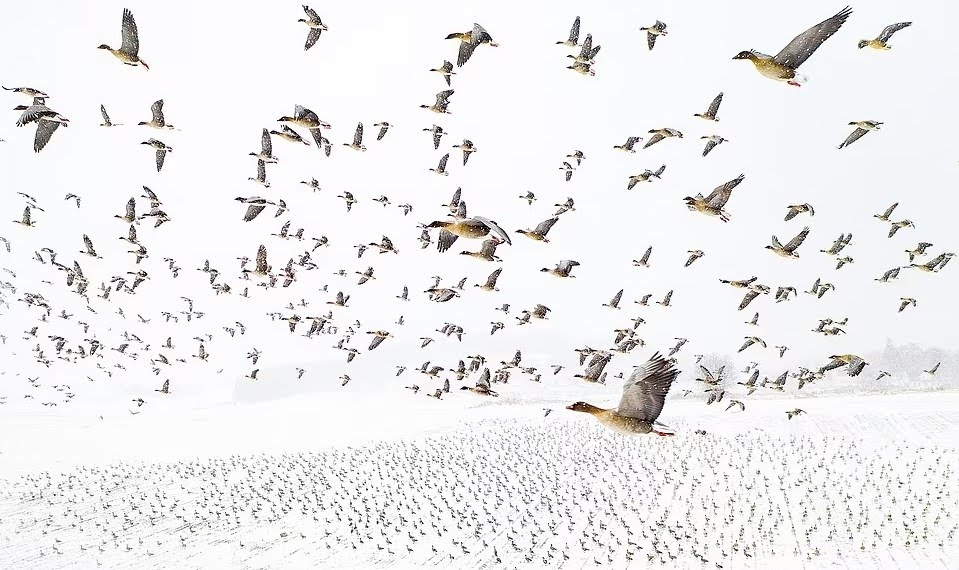 2021-yilinin-doga-fotograflari-belli-oldu