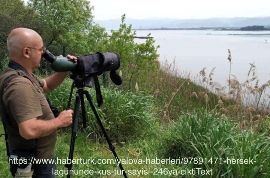 hersek-lagunu\nde-kus-tur-sayisi-246\ya-cikti