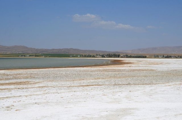 arin-golu\nden-kotu-haber