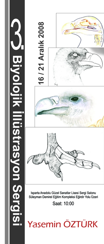 3--biyolojik-illustrasyon-sergisi