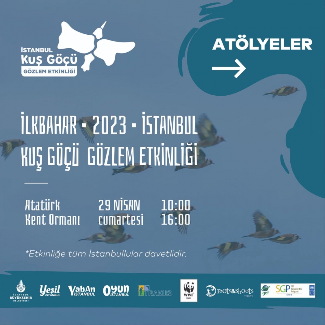kus-gocu-2023-istanbul