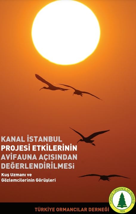 `kanal-istanbul-projesi-etkilerinin-avifauna-acisindan-degerlendirilmesi-kus-uzmani-ve-gozlemcilerinin-gorusleri