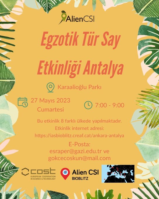 egzotik-tur-say