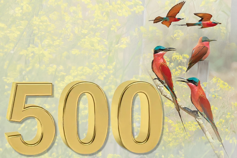 500--tur