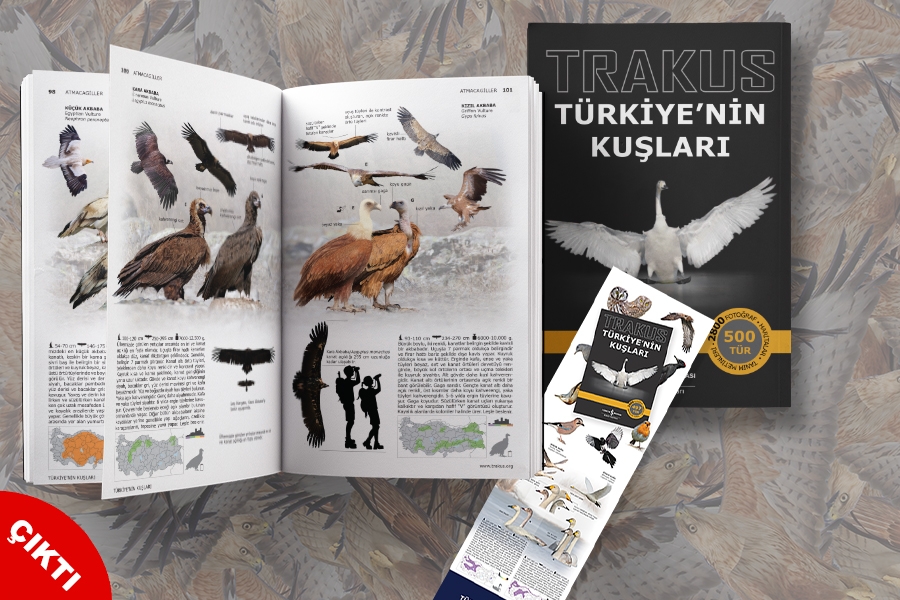 yeni-baski!