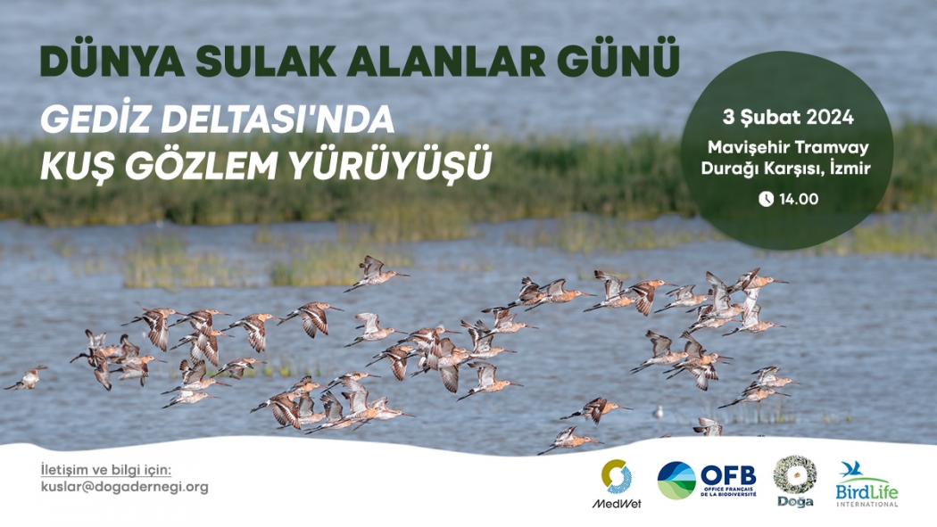 gediz-deltasinda-kus-gozlem-yuruyusu
