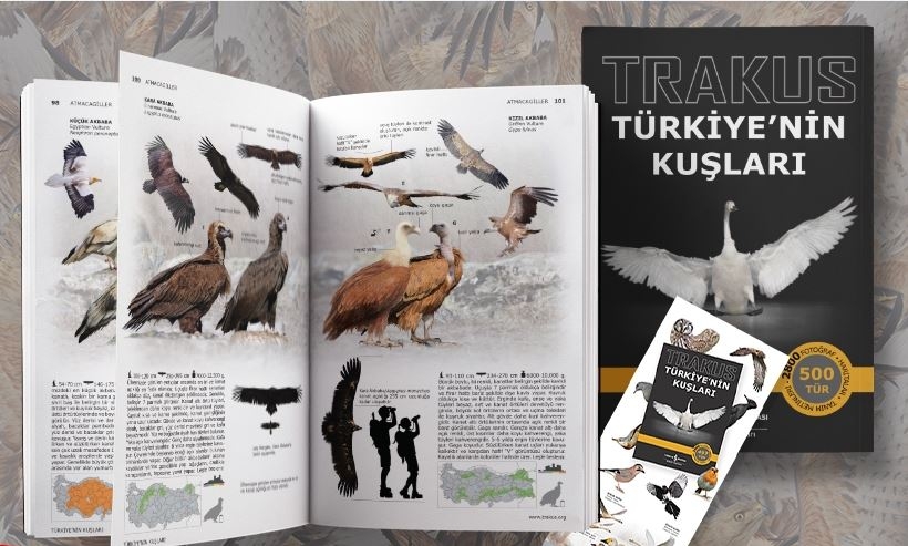 turkiyenin-kuslari--5--basim