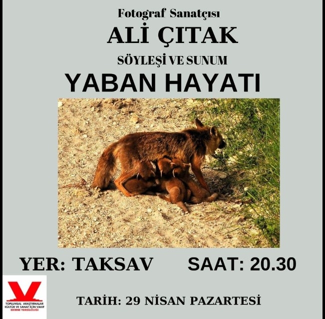 yaban-hayati-fotograf-sunumu-ve-soylesisi