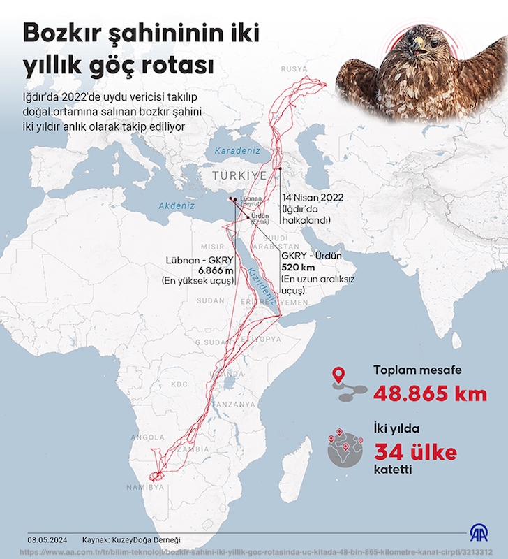 bozkir-sahini-iki-yillik-goc-rotasinda-uc-kitada-48-bin-km-kanat-cirpti