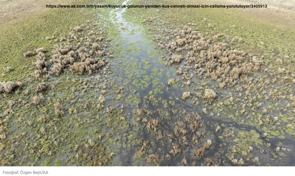 kuyucuk-golunun-yeniden-kus-cenneti-olmasi-icin-calisma-yurutuluyor