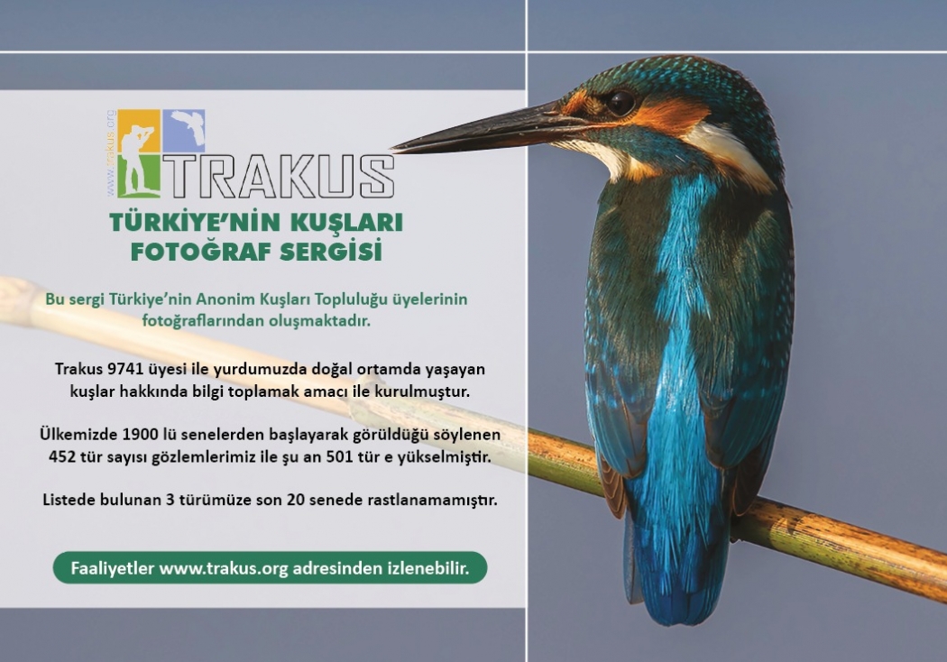 ormanya-trakus-sergisi