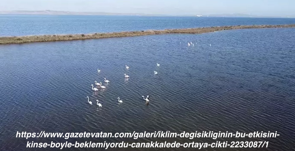 iklim-degisikliginin-bu-etkisini-kimse-boyle-beklemiyordu